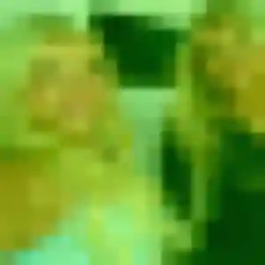 Yasmina (27 ans) à Wolfgantzen propose une rencontre maintenant