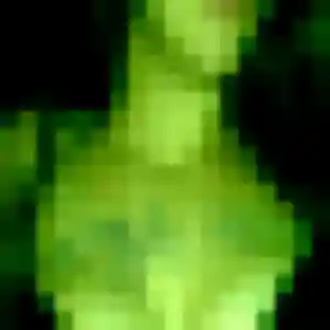 Wivine (33 ans) à Wormhout cherche une rencontre maintenant