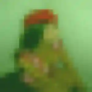 Anaïs de Xertigny, 27 ans - plan cul discret