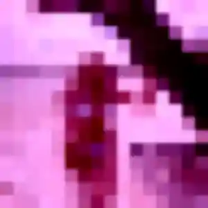 Aïcha (33 ans) à Ytrac attend une rencontre rapidement