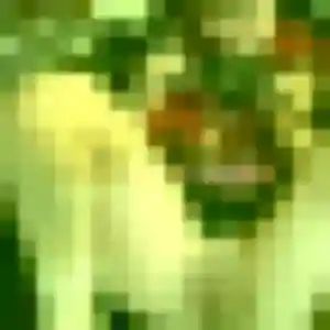 Rencontre Folake, 40 ans à Yvré-le-Pôlin en privé