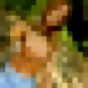 Photo exclusive de Adjoavi, 31 ans à Yzeure - rencontre coquine